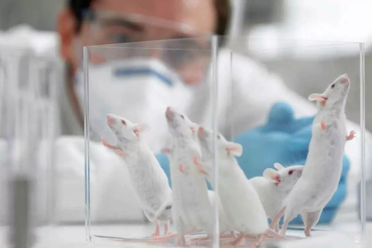 when-put-lab-mice-nature_11zon
