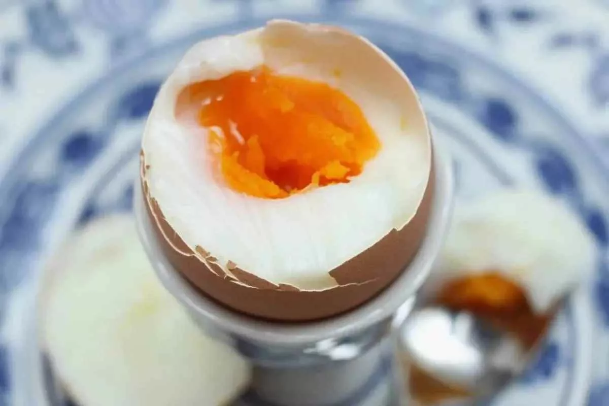 when-you-eat-eggs-every-day_11zon