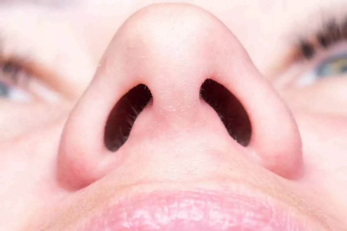 why-we-have-two-nostrils_11zon