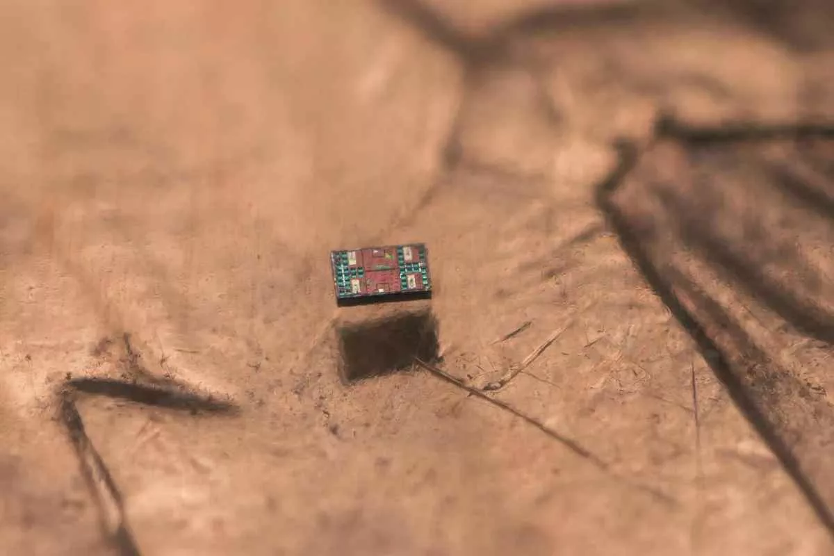 world-smallest-autonomous-robots_11zon