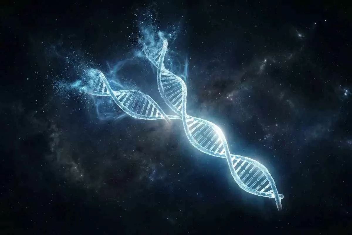 y-chromosome-disappearance-debate_11zon