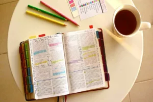 اکتیو ریکال؛ تکنیک شگفت‌انگیز یادگیری که حافظه‌ات را چند برابر می‌کند