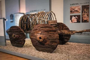 ارابه ابدیت: پرده‌برداری از سفر لوکس و رازآلود رئیس قبیله ها به قلمرو مردگان