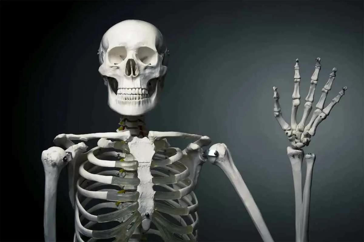 how-common-extra-bones-skeleton_11zon