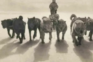 آخرین سگ‌های جنوبگان؛ قهرمانانی که پس از نجات انسان‌ها، در سال ۱۹۹۴ تبعید شدند