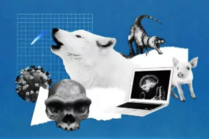 2025 در روایت علم؛ از احیای گرگ وحشت تا کشف دنباله‌داری از فراسوی منظومه شمسی