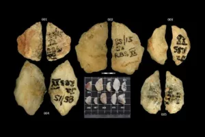قدیمی‌ترین تیر سمی جهان کشف شد؛ شکار با سم هزاران سال زودتر آغاز شده است