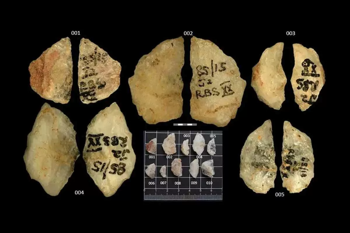 oldest-poison-arrow-discovery-history_11zon