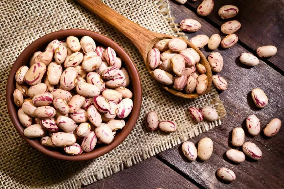 pinto-beans-benefits_11zon