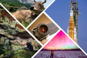 در روزهای خاموشی اینترنت، مهم‌ترین اتفاقات علمی جهان چه بودند؟