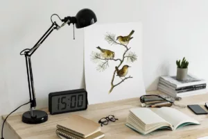 راهنمای کامل استفاده از چراغ مطالعه | مزایا، کاربردها و معرفی انواع چراغ مطالعه