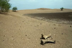 هشدار سازمان ملل: جهان رسماً به مرحله ورشکستگی آبی رسیده است