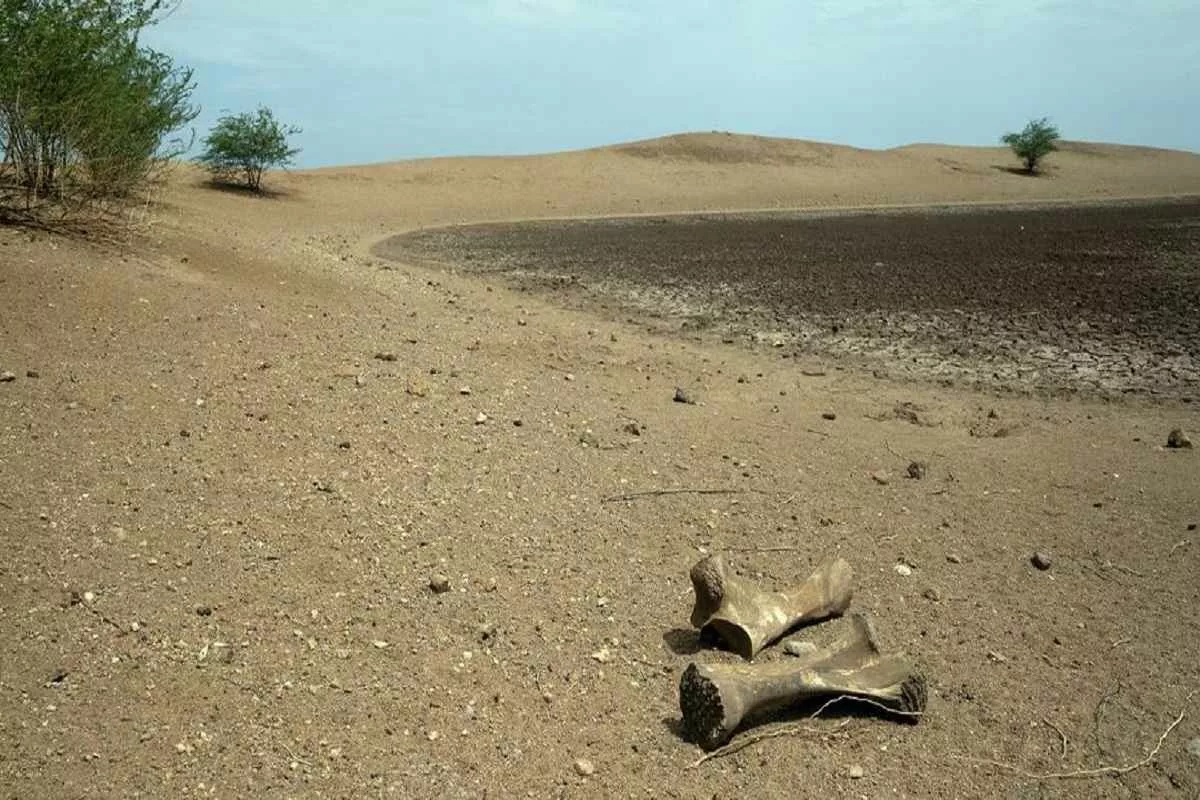 water-bankruptcy-era-un-report_11zon