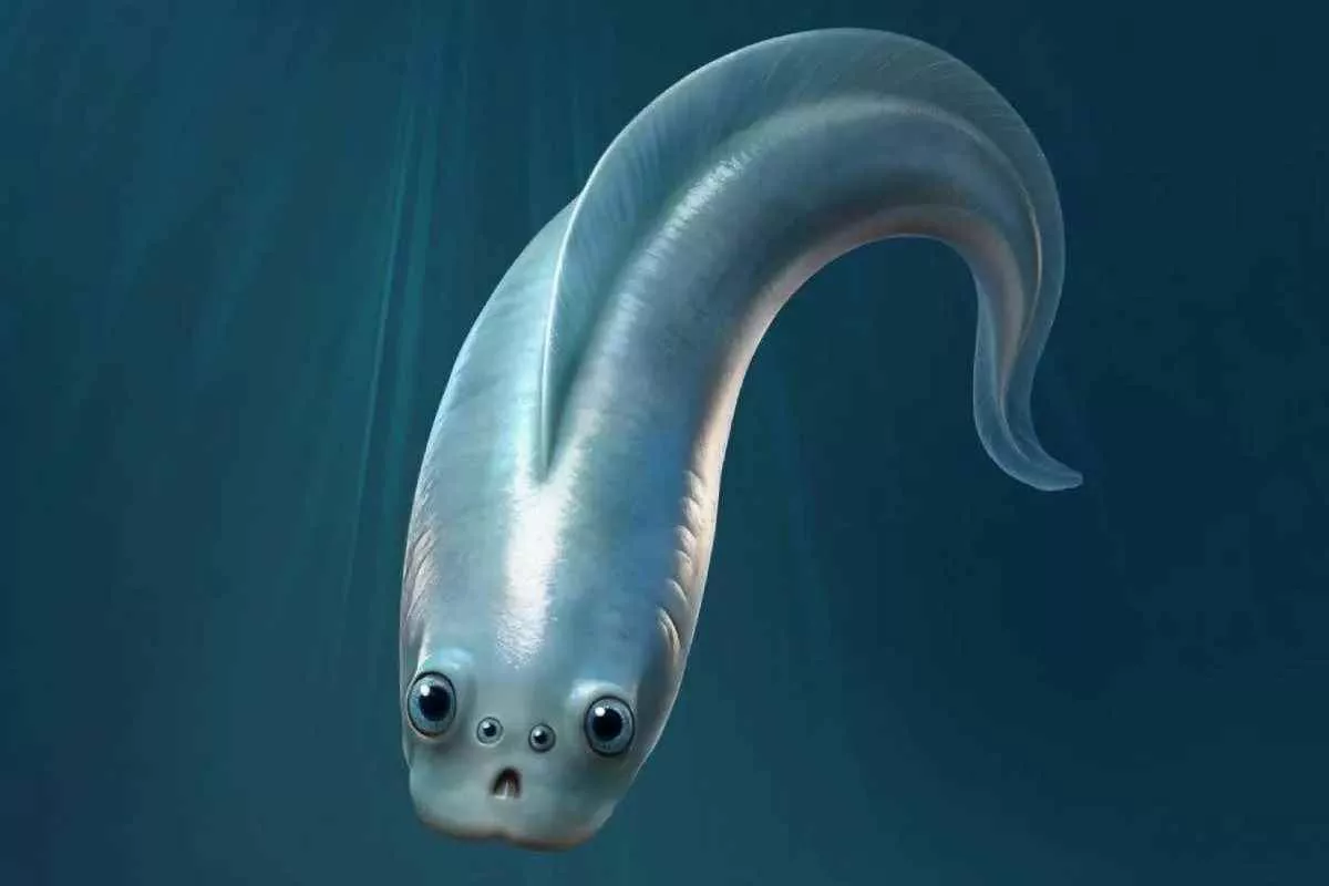 ancient-vertebrates-four-eyes-evolution_11zon