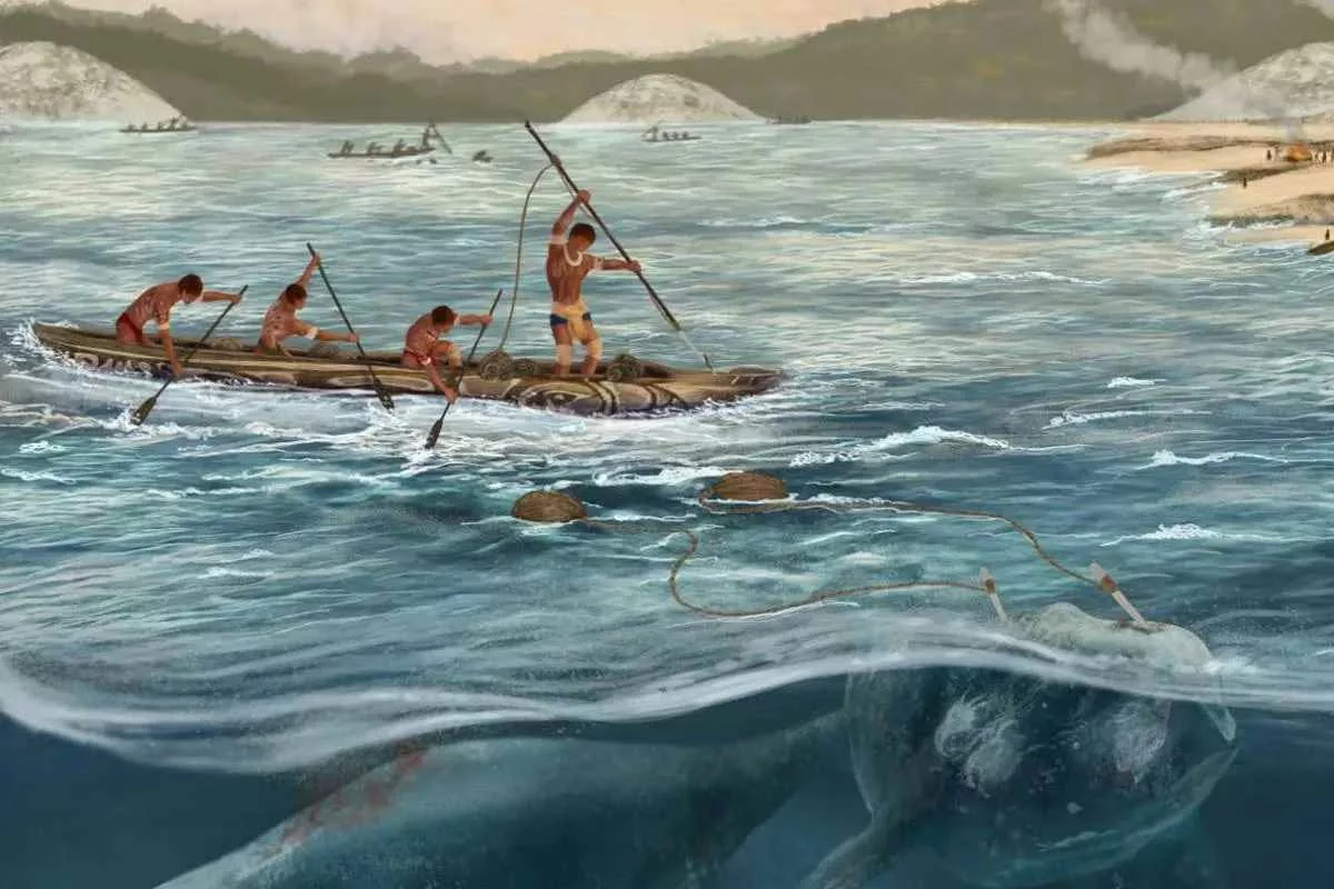 early-whale-hunting-evidence-brazil_11zon