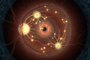 نخستین آزمایش انسانی معکوس‌کردن پیری: عصر جدید برنامه‌ریزی مجدد سلولی آغاز شد