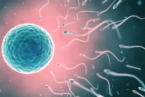 آیا اسپرم‌ها واقعاً برای رسیدن به تخمک مسابقه می‌دهند؟ سفری پیچیده به سوی لقاح
