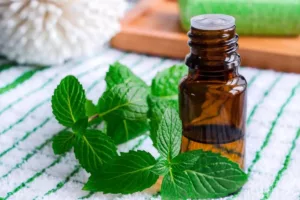 طلوعی تازه در مدیریت فشار خون؛ روغن نعناع فلفلی و ظرفیت‌های نهفته طبیعت