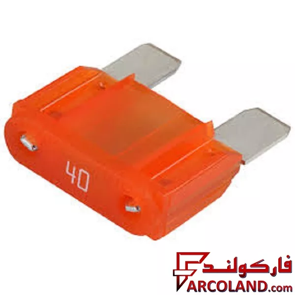 فیوز مرکزی بزرگ (گاوی) دوشاخ لیتل اصلی