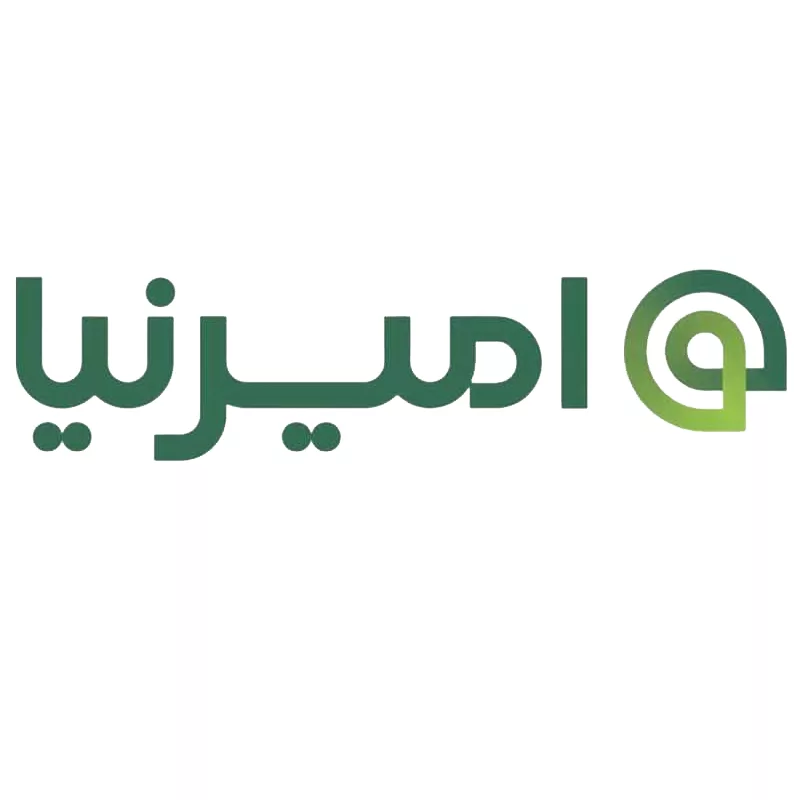 امیرنیا