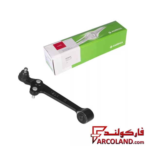 طبق راست امیرنیا مناسب کیا ریو